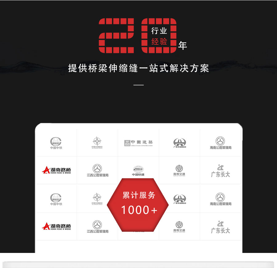 tst橋梁伸縮縫